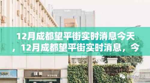 成都望平街最新实时消息与今日焦点聚焦