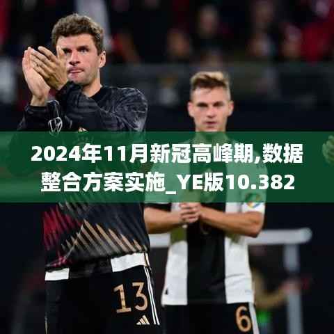 2024年11月新冠高峰期,数据整合方案实施_YE版10.382