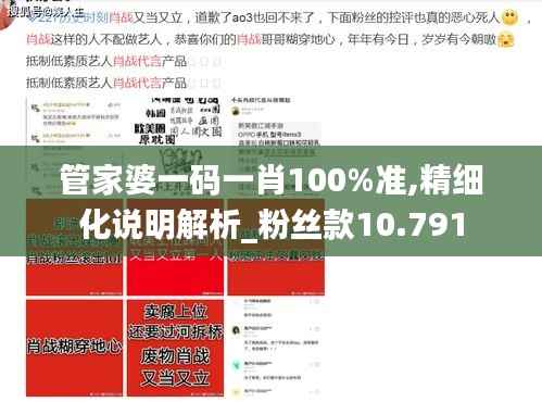 管家婆一码一肖100%准,精细化说明解析_粉丝款10.791