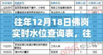 往年12月18日佛岗实时水位查询表深度解析,特性、体验、对比与用户分析