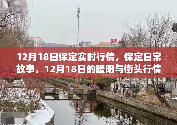 保定日常故事,暖阳下的街头行情与实时动态