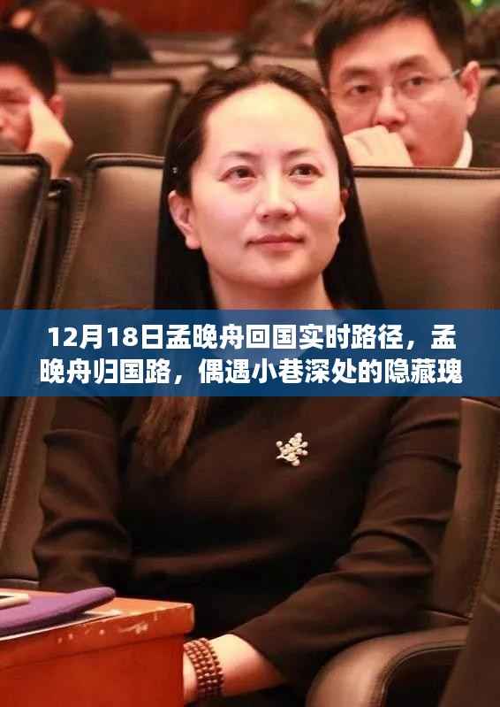 孟晚舟归国之路揭秘,小巷深处的隐藏瑰宝亮相时刻
