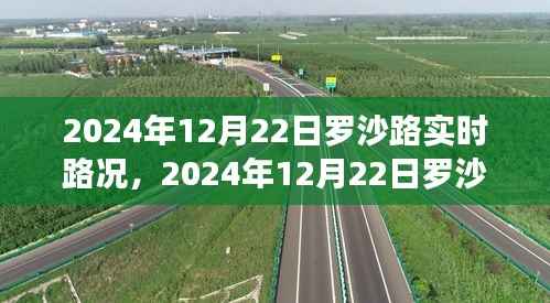 罗沙路实时路况导航指南,行车技巧从初学到进阶