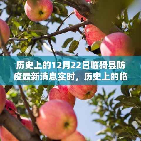 透过实时消息看临猗县防疫之路，历史进展与最新动态