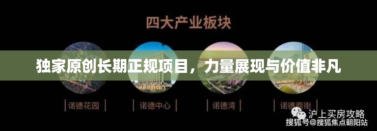 独家原创长期正规项目，力量展现与价值非凡