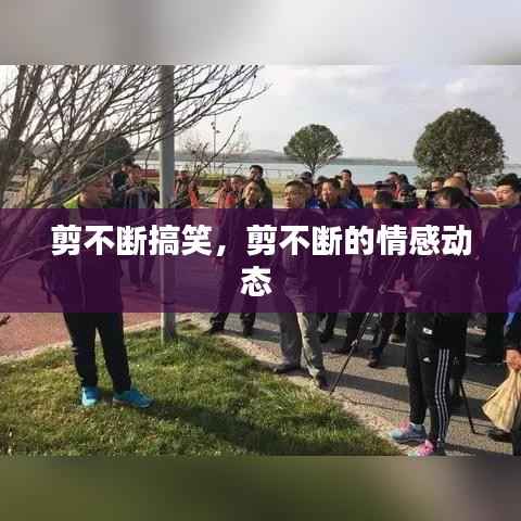 剪不断搞笑,剪不断的情感动态