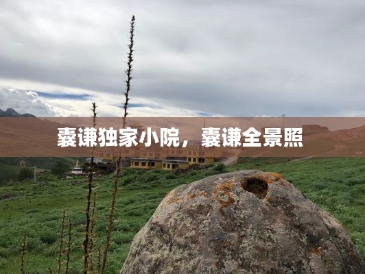读书三到
