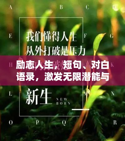 励志人生，短句、对白语录，激发无限潜能与斗志