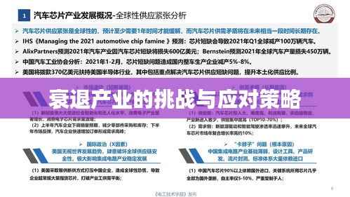 衰退产业的挑战与应对策略