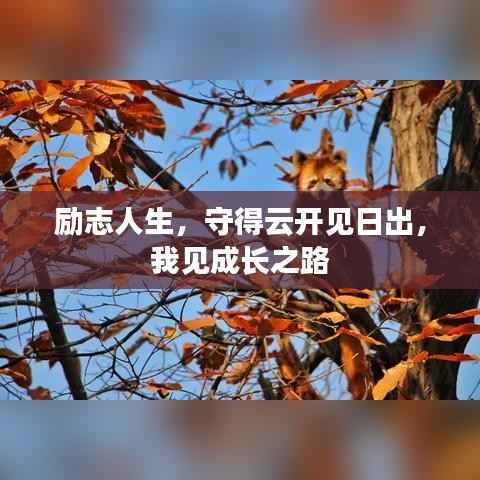 励志人生，守得云开见日出，我见成长之路
