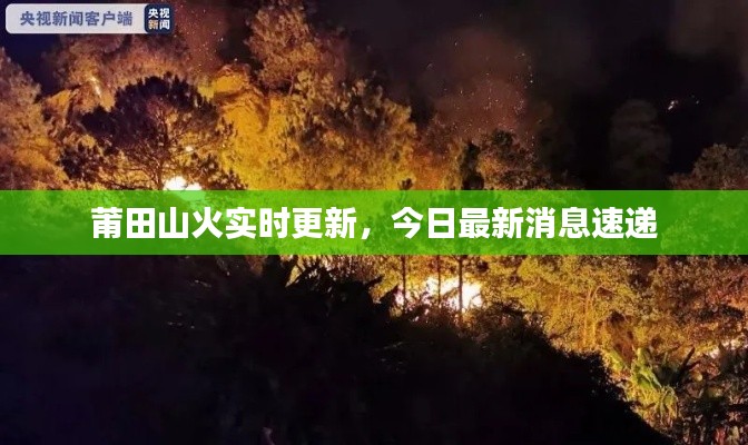 莆田山火实时更新，今日最新消息速递