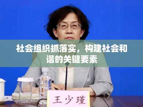 社会组织抓落实，构建社会和谐的关键要素