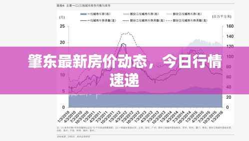 肇东最新房价动态,今日行情速递