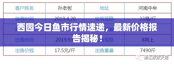 西园今日鱼市行情速递，最新价格报告揭秘！