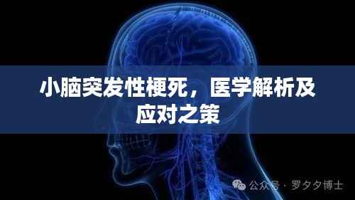小脑突发性梗死，医学解析及应对之策