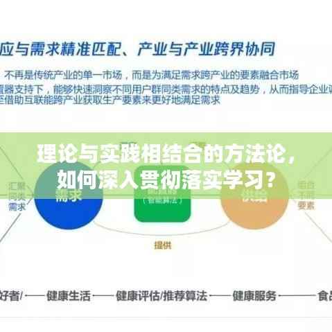 理论与实践相结合的方法论，如何深入贯彻落实学习？