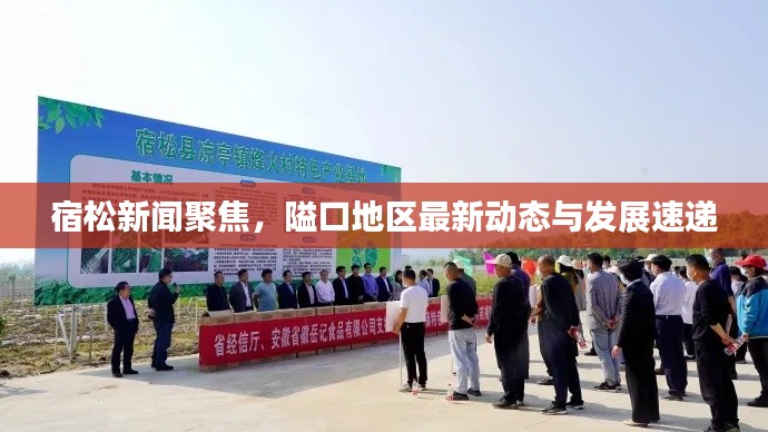 宿松新闻聚焦，隘口地区最新动态与发展速递