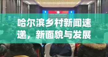 哈尔滨乡村新闻速递，新面貌与发展活力展现