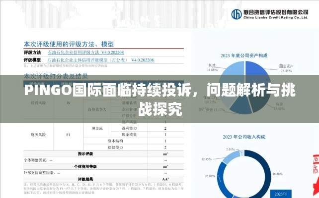 PINGO国际面临持续投诉，问题解析与挑战探究