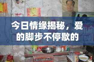 今日情缘揭秘，爱的脚步不停歇的最新动态