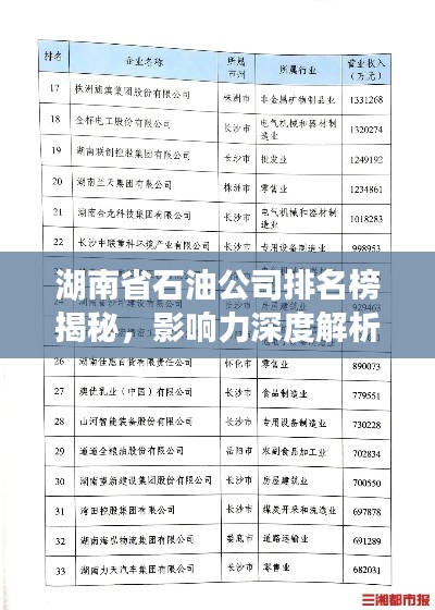 湖南省石油公司排名榜揭秘，影响力深度解析