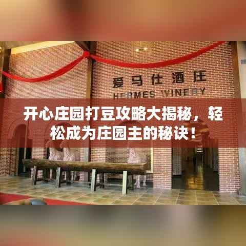 开心庄园打豆攻略大揭秘，轻松成为庄园主的秘诀！