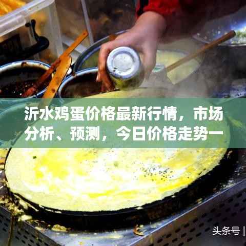 口若悬河