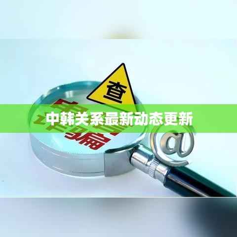 中韩关系最新动态更新