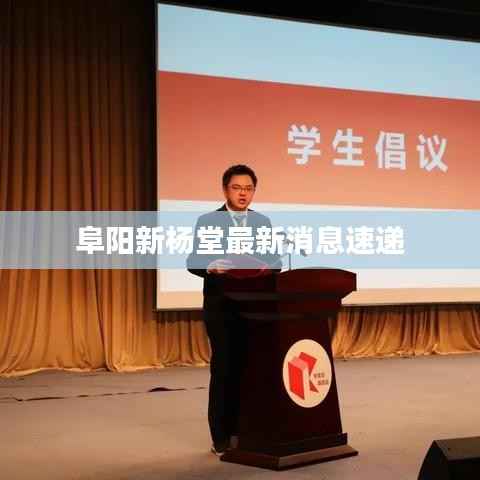 阜阳新杨堂最新消息速递