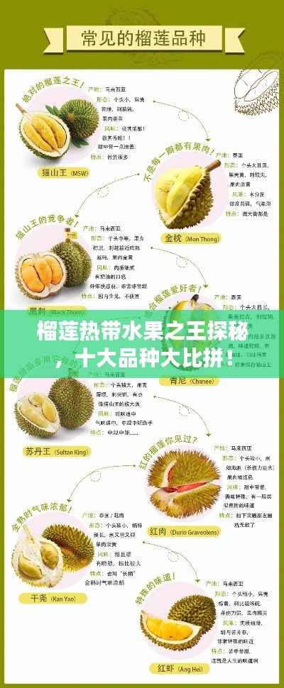 榴莲热带水果之王探秘,十大品种大比拼!