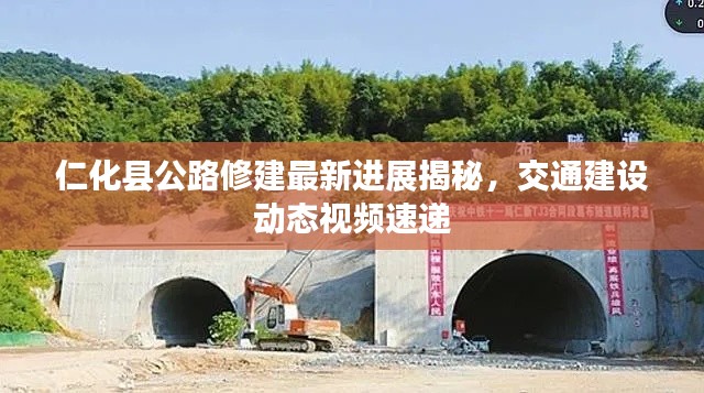 飞扬跋扈