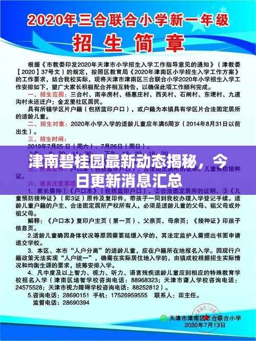 津南碧桂园最新动态揭秘,今日更新消息汇总
