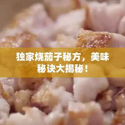 独家烧茄子秘方，美味秘诀大揭秘！