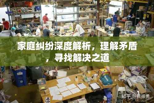 家庭纠纷深度解析,理解矛盾,寻找解决之道