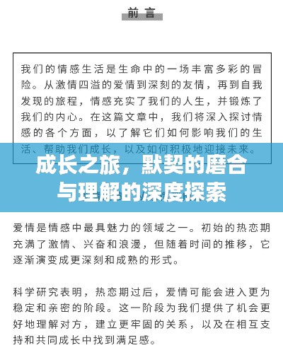 风流儒雅