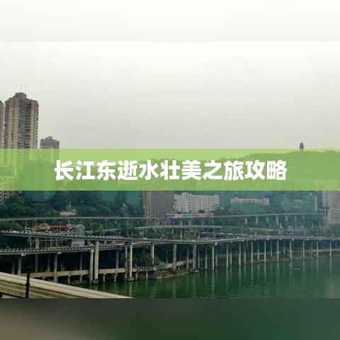 风韵犹存