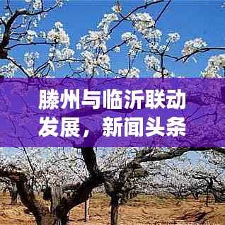 滕州与临沂联动发展，新闻头条下的区域合作新篇章