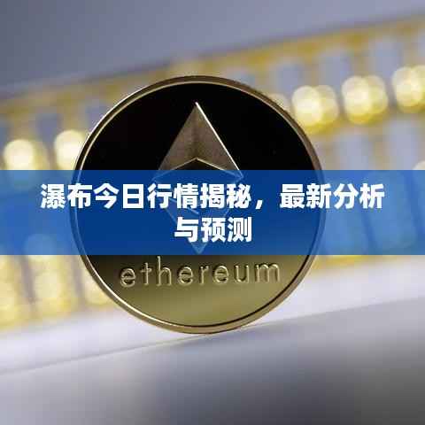 纲挈目张